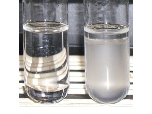 Collagen Extract 9S COLLAGEN COMPLEX (5 KG)