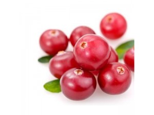 Beautifying Whitening Agent AC-Α-ARBUTIN (1 KG)