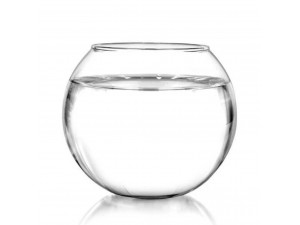 Emulsion Polymer AQUACRYL SH-24 (200 KG)